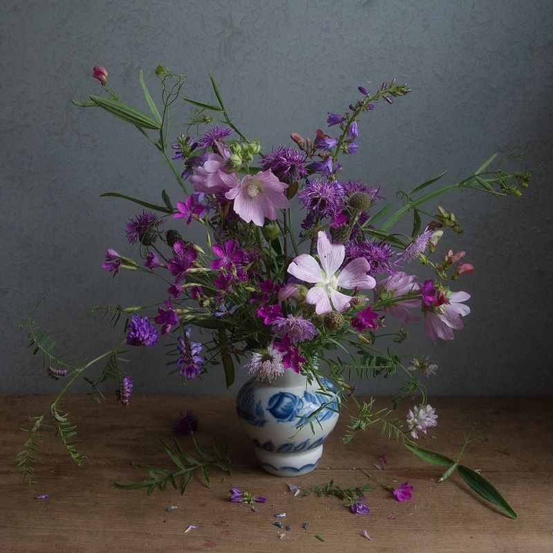букет, сиреневые цветы, мальва Букет в сиреневых тонах фото превью