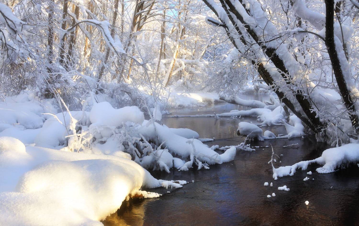 , Андрей Куликов