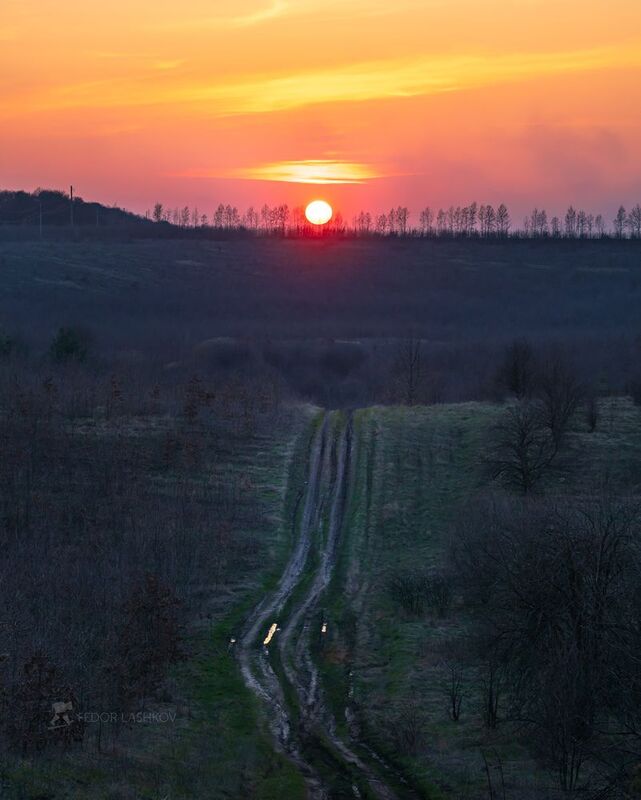 белгородская область, белогорье, холмы, холмистое, озеро, пруд, водоём, закат, сумерки, дорога, просёлка, берег, поле, лес, берёза, весна, весенний, апрель, апрельский, Пробуждение фото превью