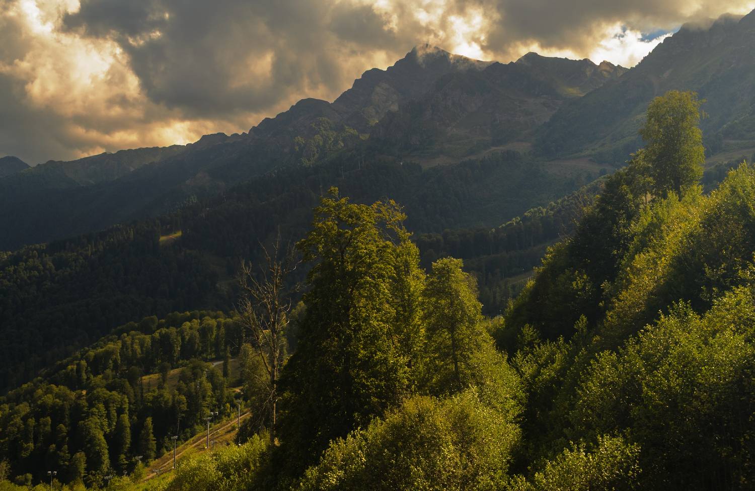 , Лысенко Сергей