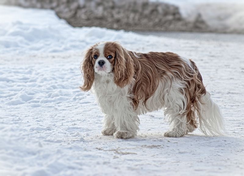 Привет! фото превью