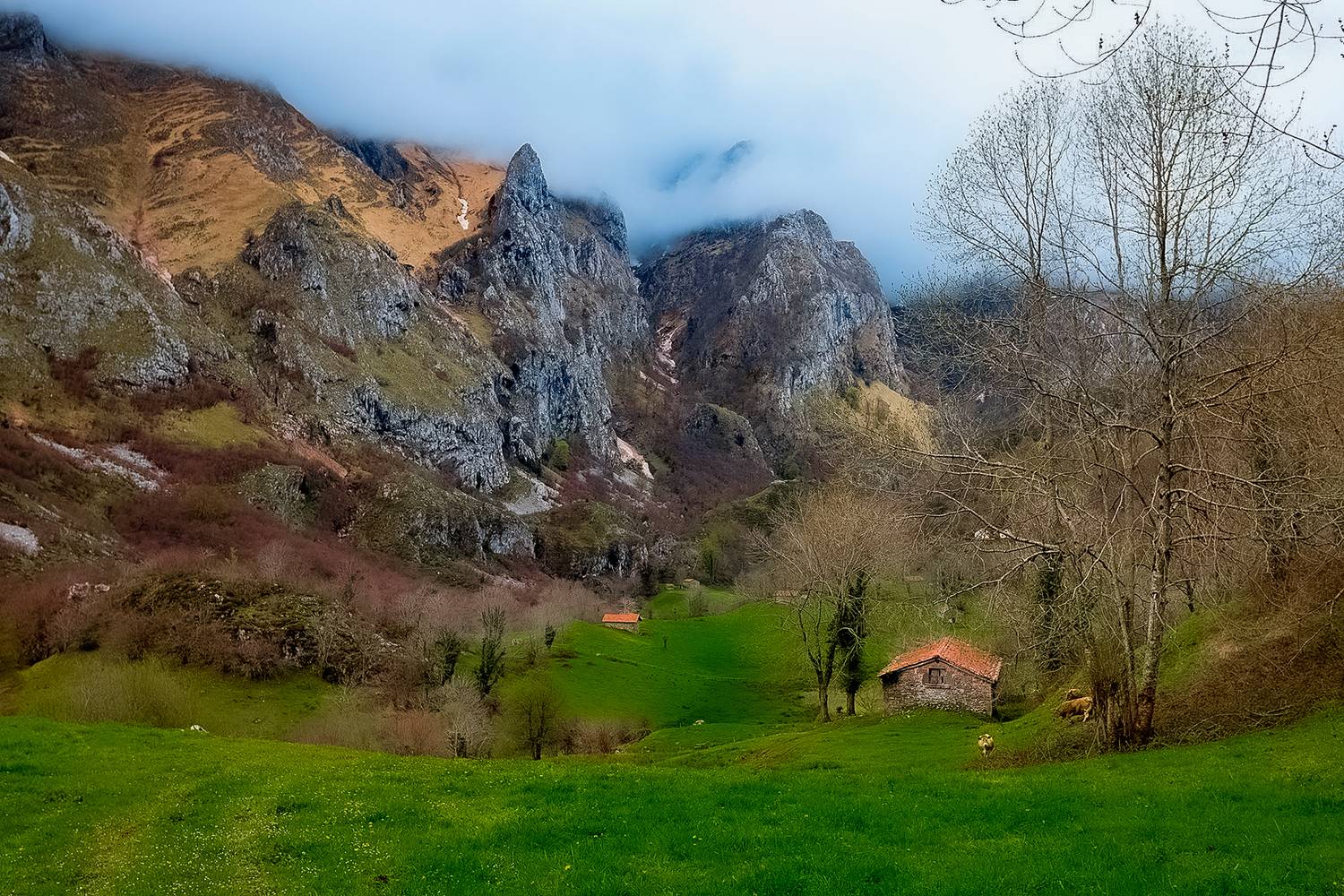 , Antonio Cantabrana