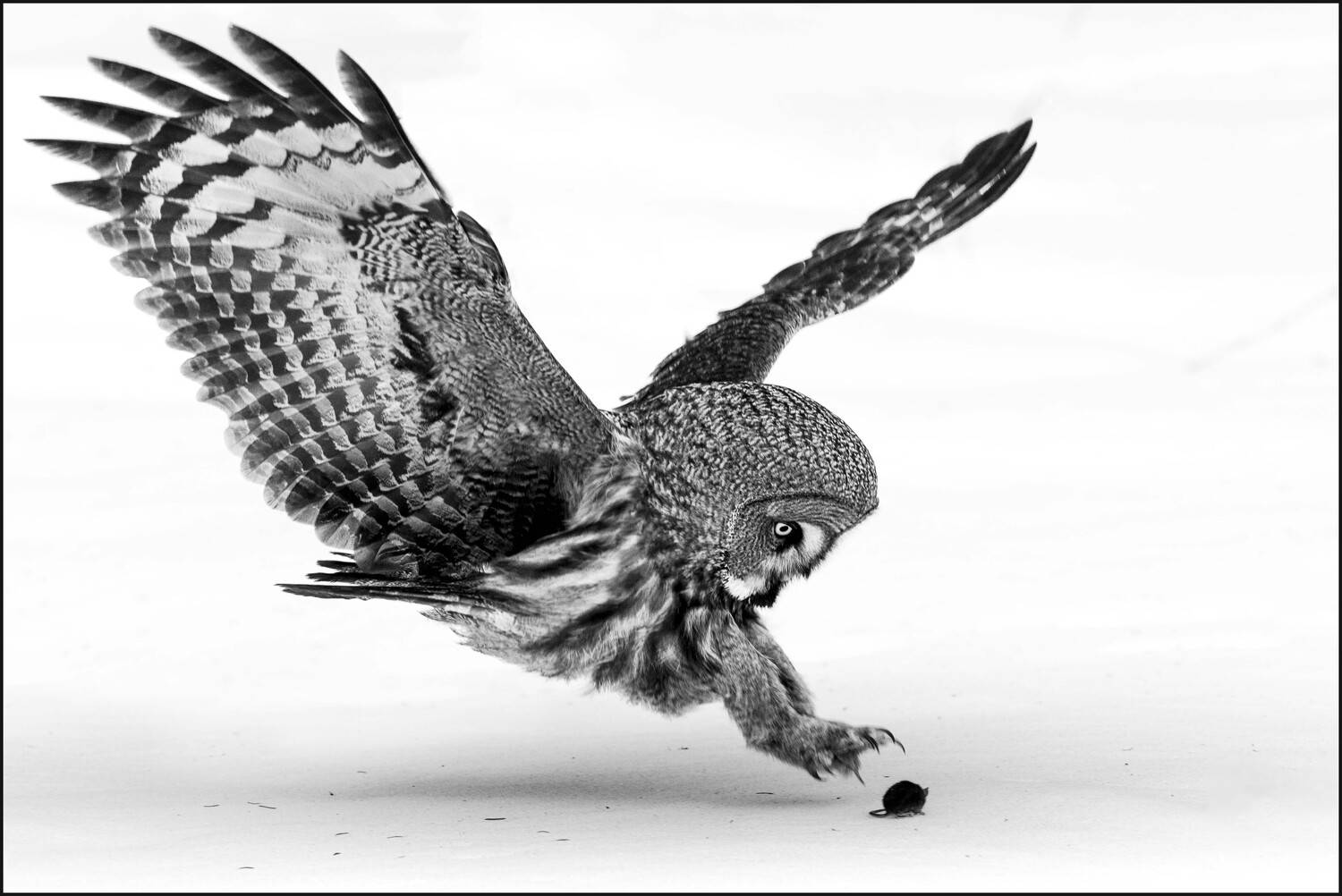 , Павел Ныриков