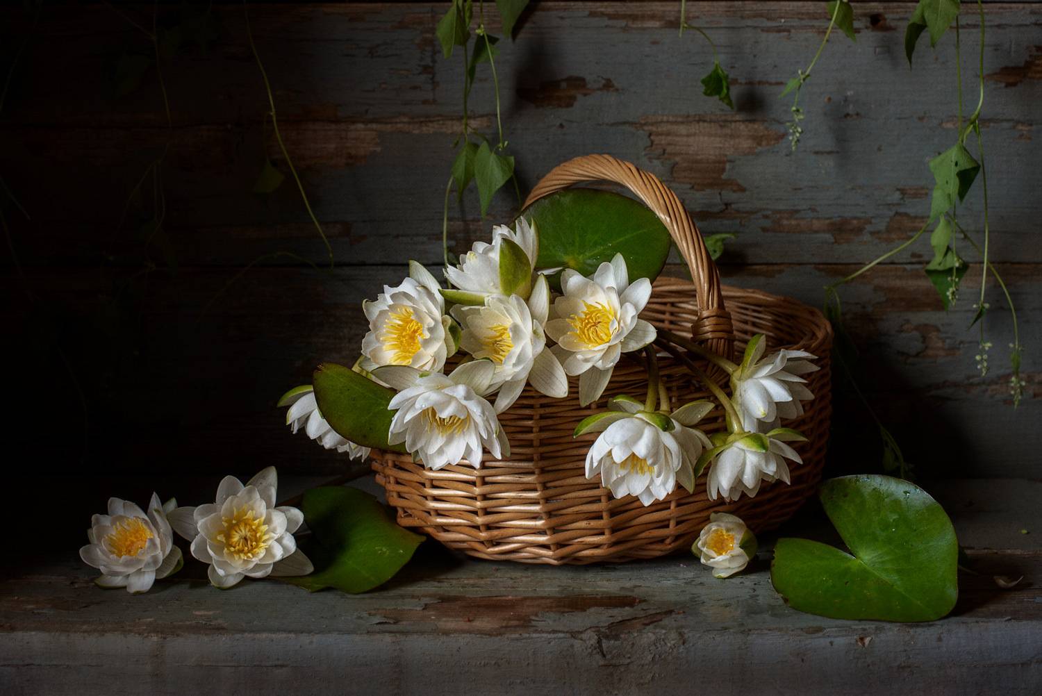 , Рюмина Ляля