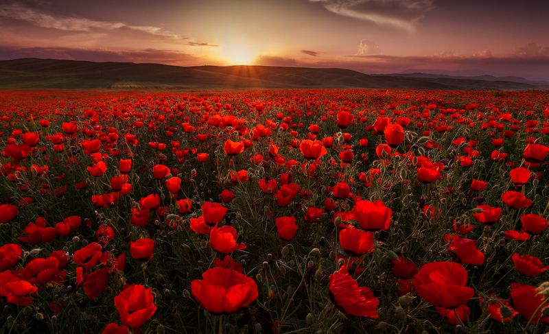 Всех с 8 марта!!! Счастья, улыбок и тепла! фото превью