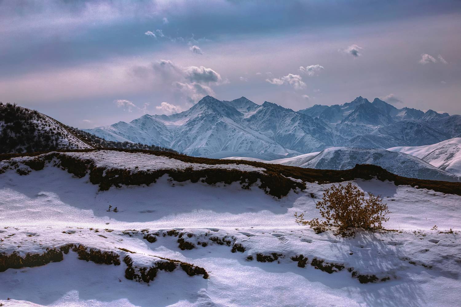 кыргызстан, Элина Магалимова
