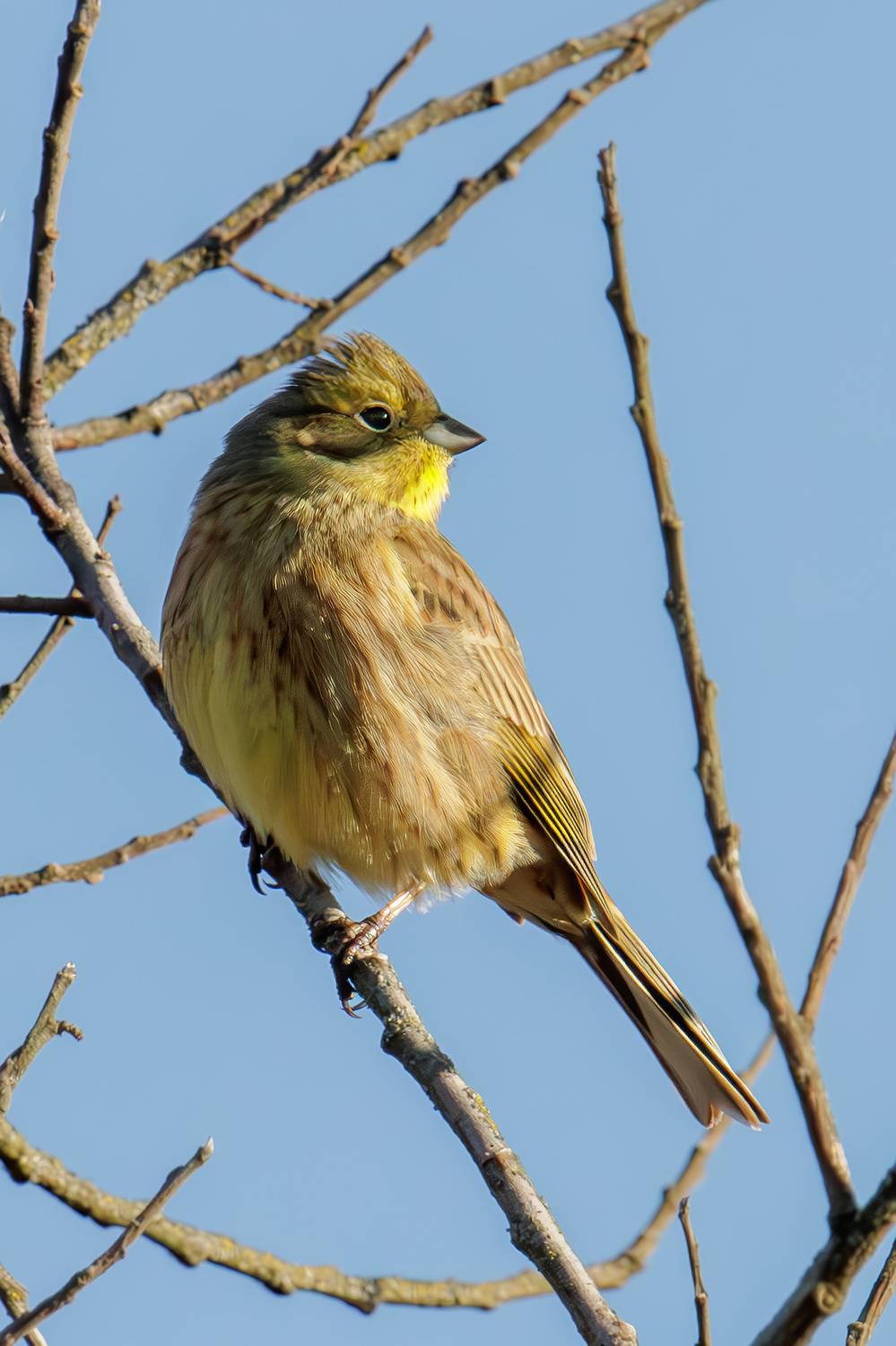 , Морозов Сергей