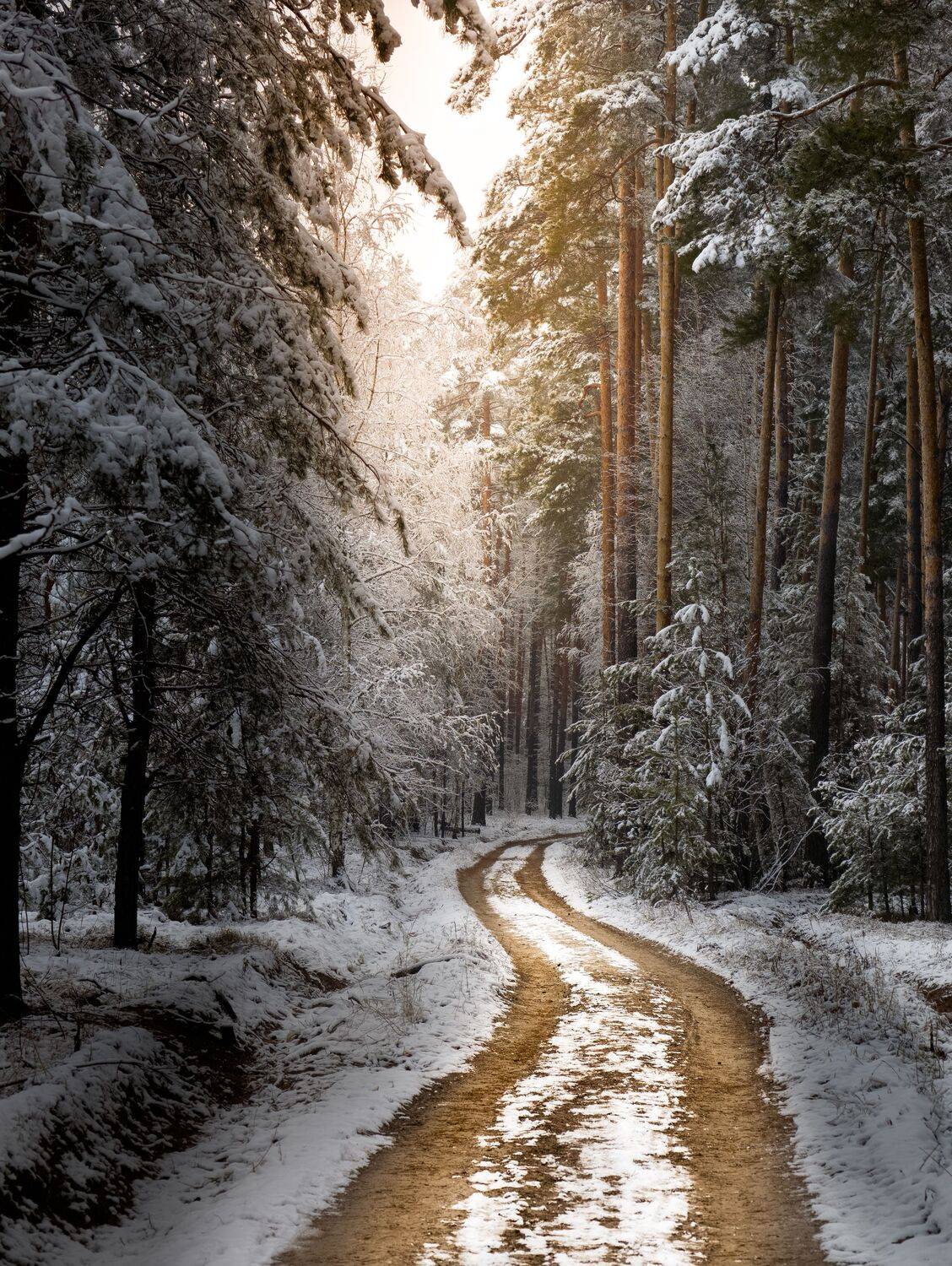 , Konstantin Martynov