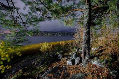 Сумрачный свет Кирьявалахти