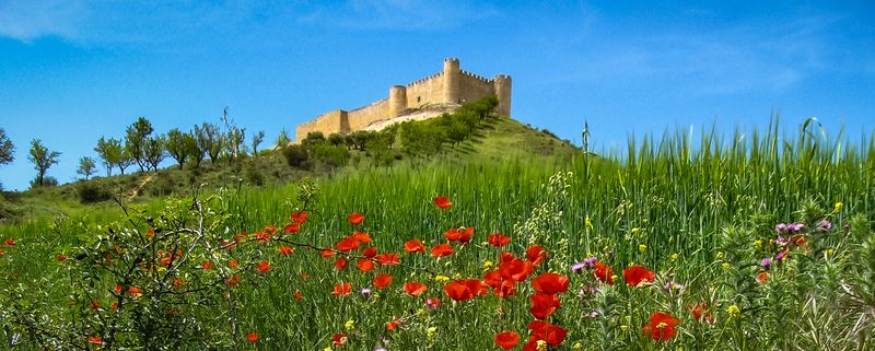 Castello de Sid, Jadrace, Espana фото превью