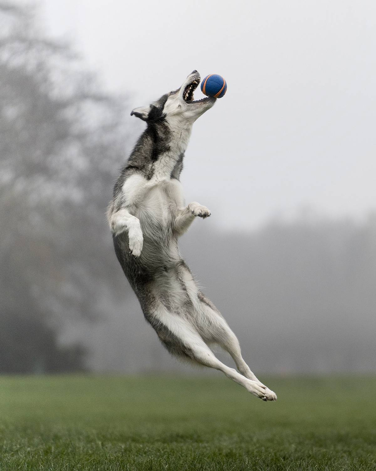 , Kriszti&aacute;n Csalami