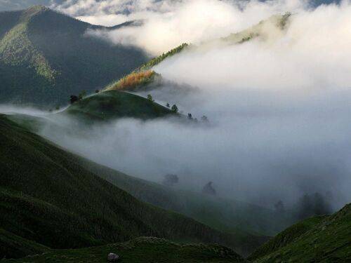 Туман опустился в долину