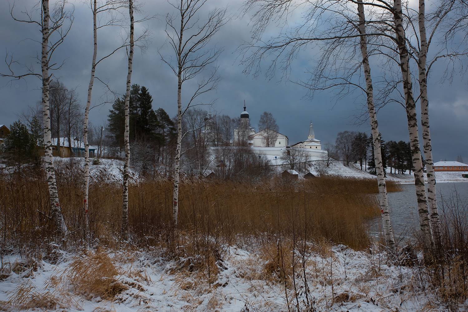 ферапонтово,зима, березы, монастырь, озеро, Наталия Колтакова