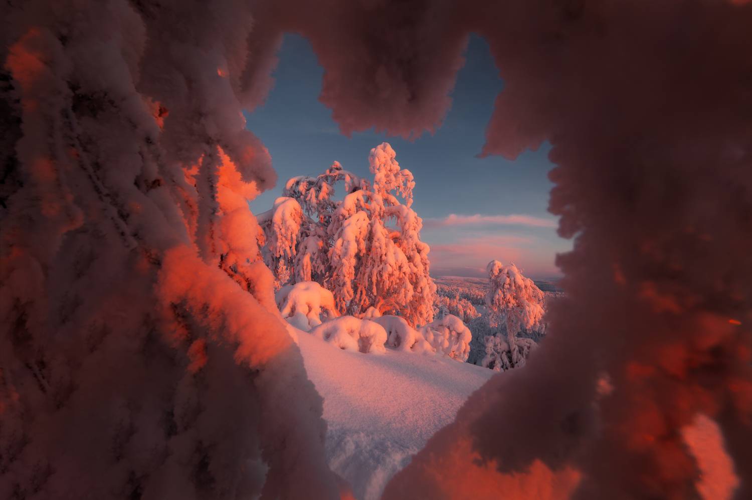 , Бушмакин Егор