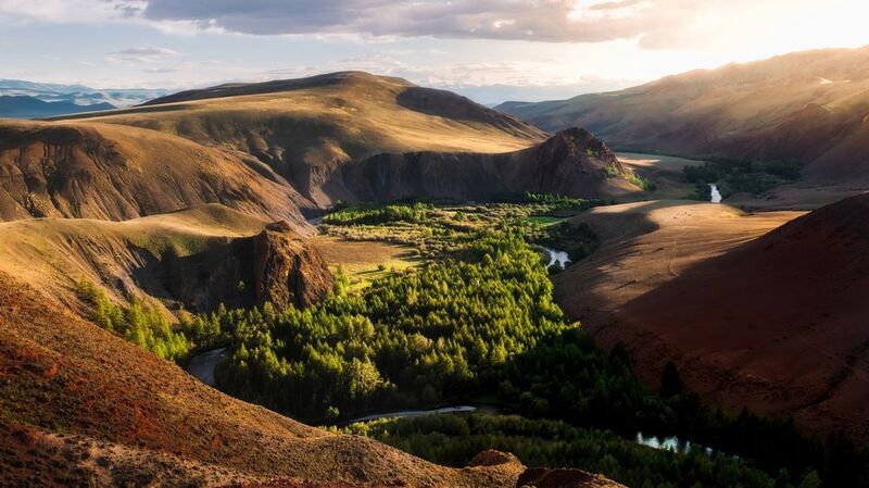 Алтай, закат, горы, лес, река Оазис фото превью