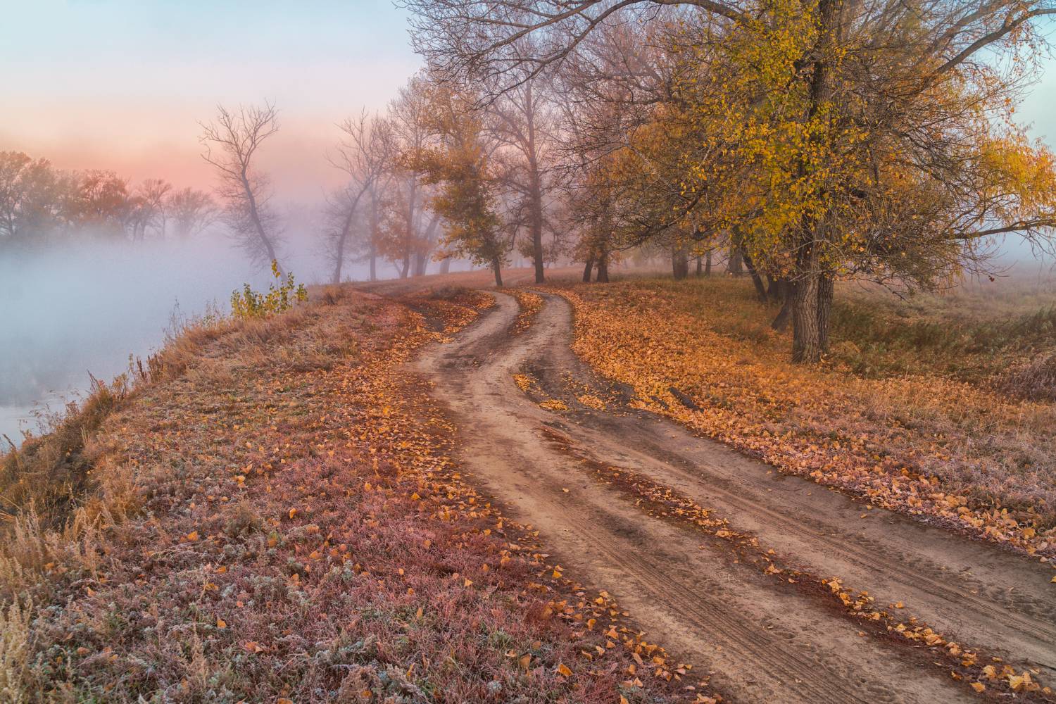 Россия,пейзаж,туман, утро, Тобол, река, осень, Лариса Дука