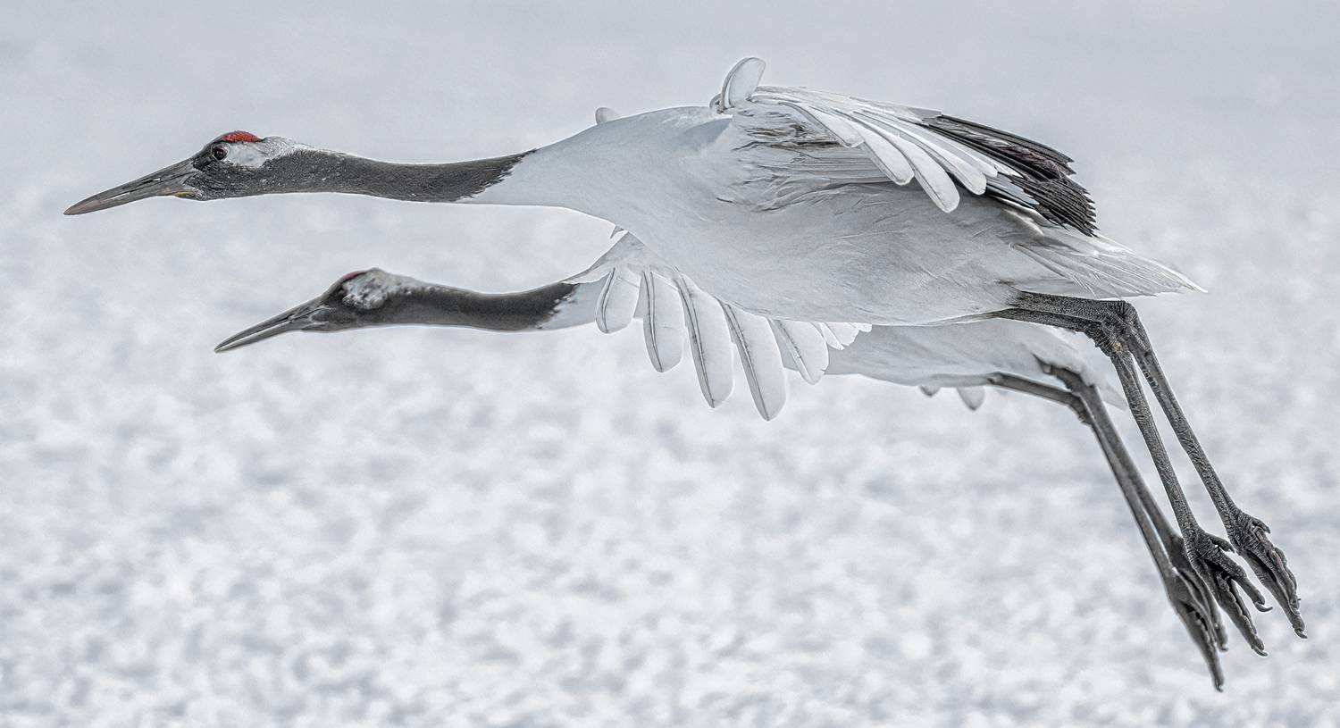 , Vladimir Vorobeychik