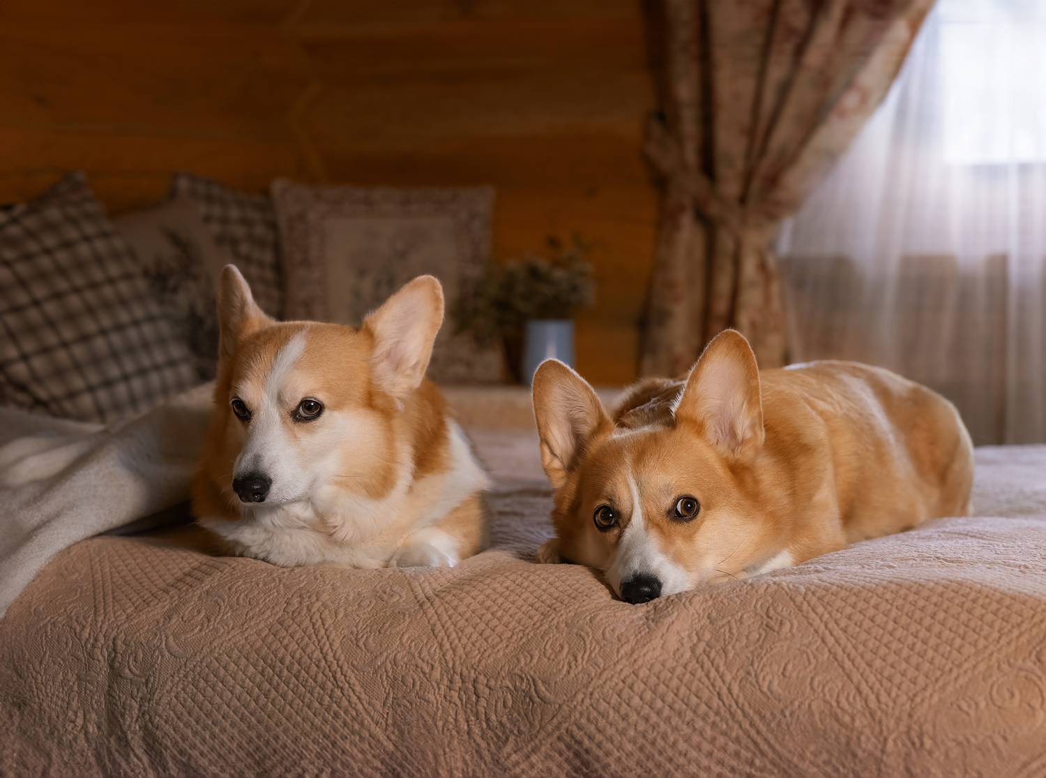 , Татьяна Тихомирова