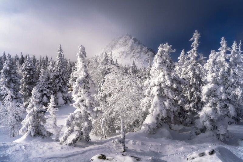 Откликной гребень фото превью