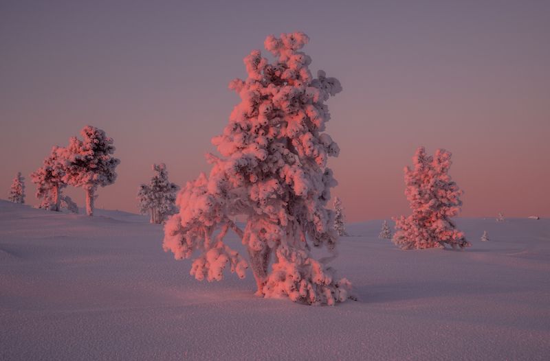 Безмятежность фото превью