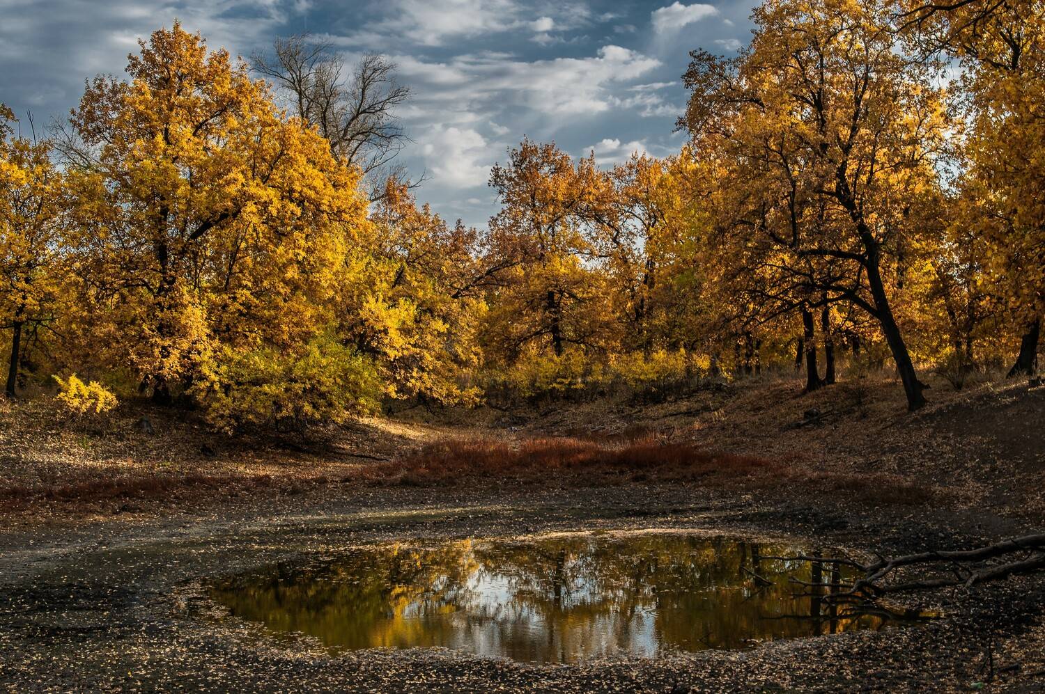 осень,пейзаж,природа, Vasilev Roman