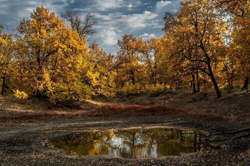 Осенью