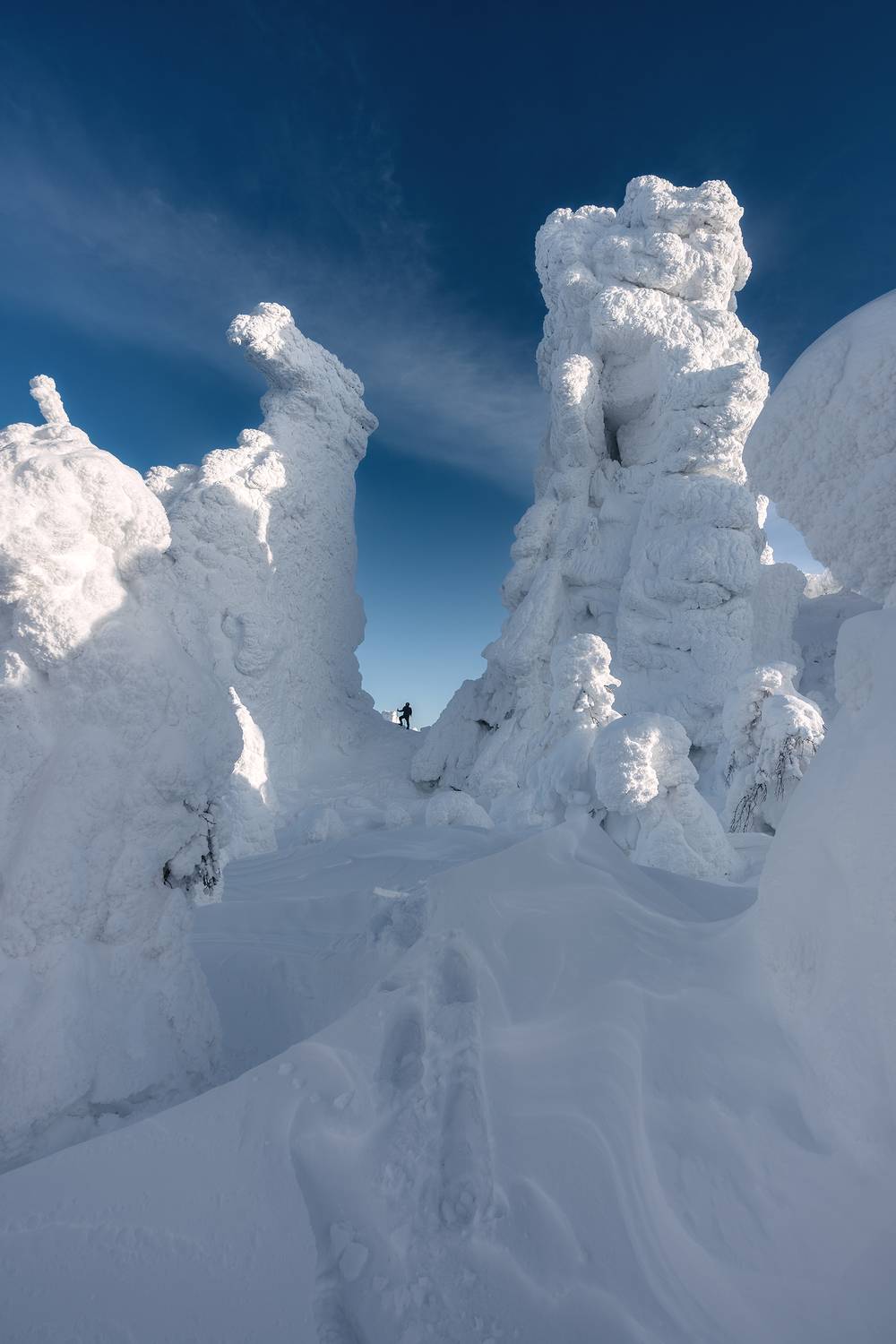 , Козаченко Алексей