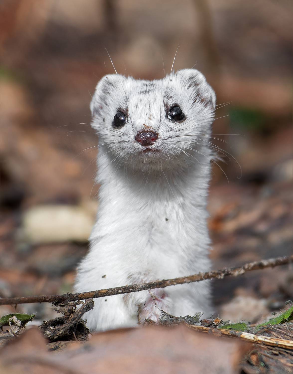 , Фото Александр