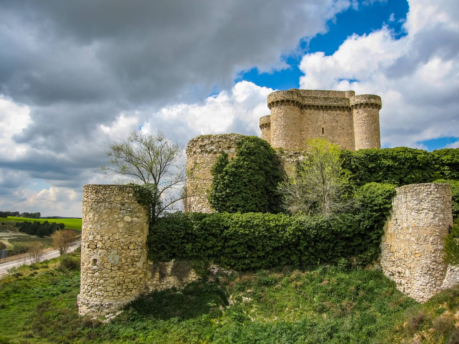 , Максимова Дария