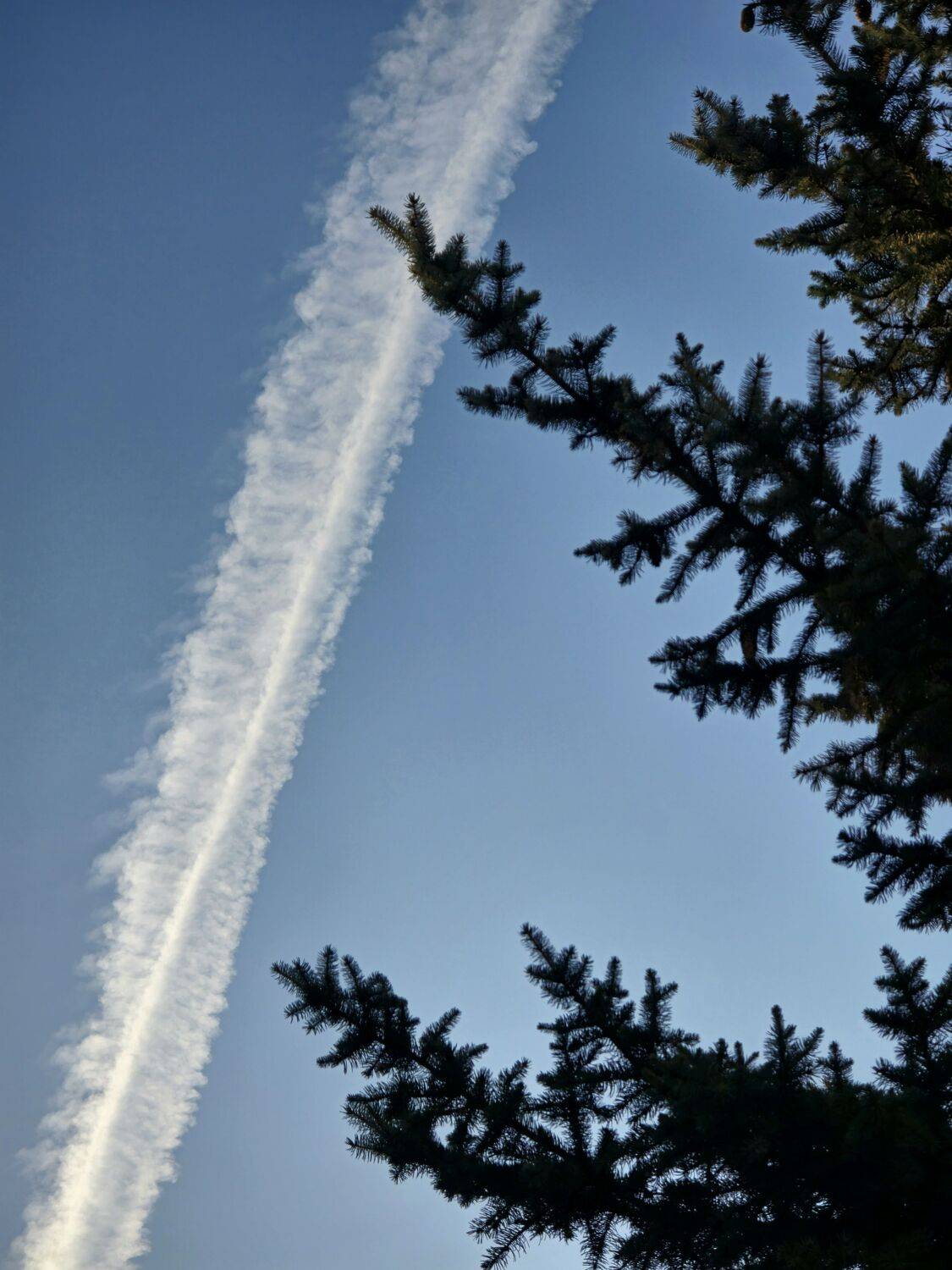 , Мария Yakovleva