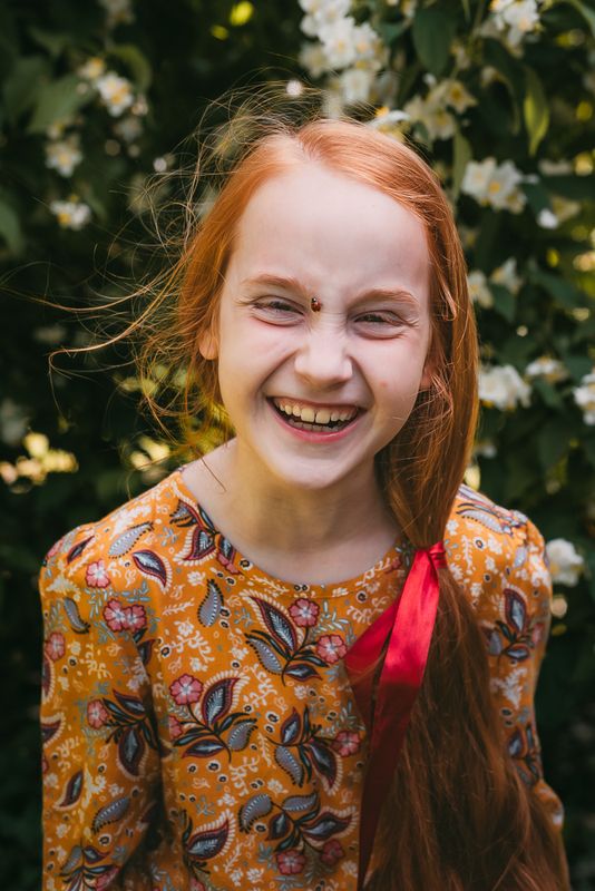 Ladybug фото превью