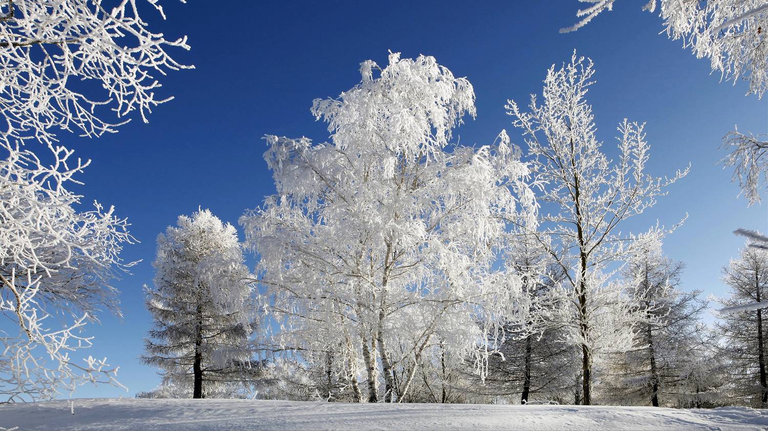 , Ушаков Валерий