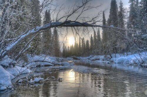 Навстречу солнцу