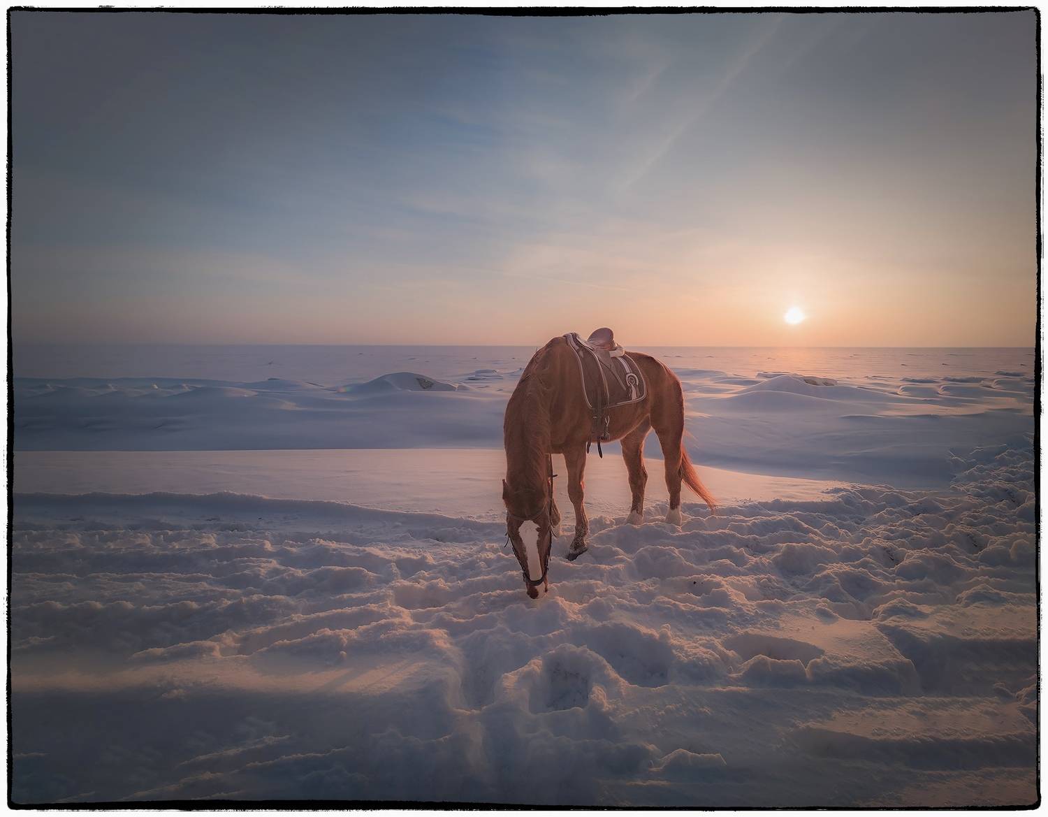 , Владимир Поляков