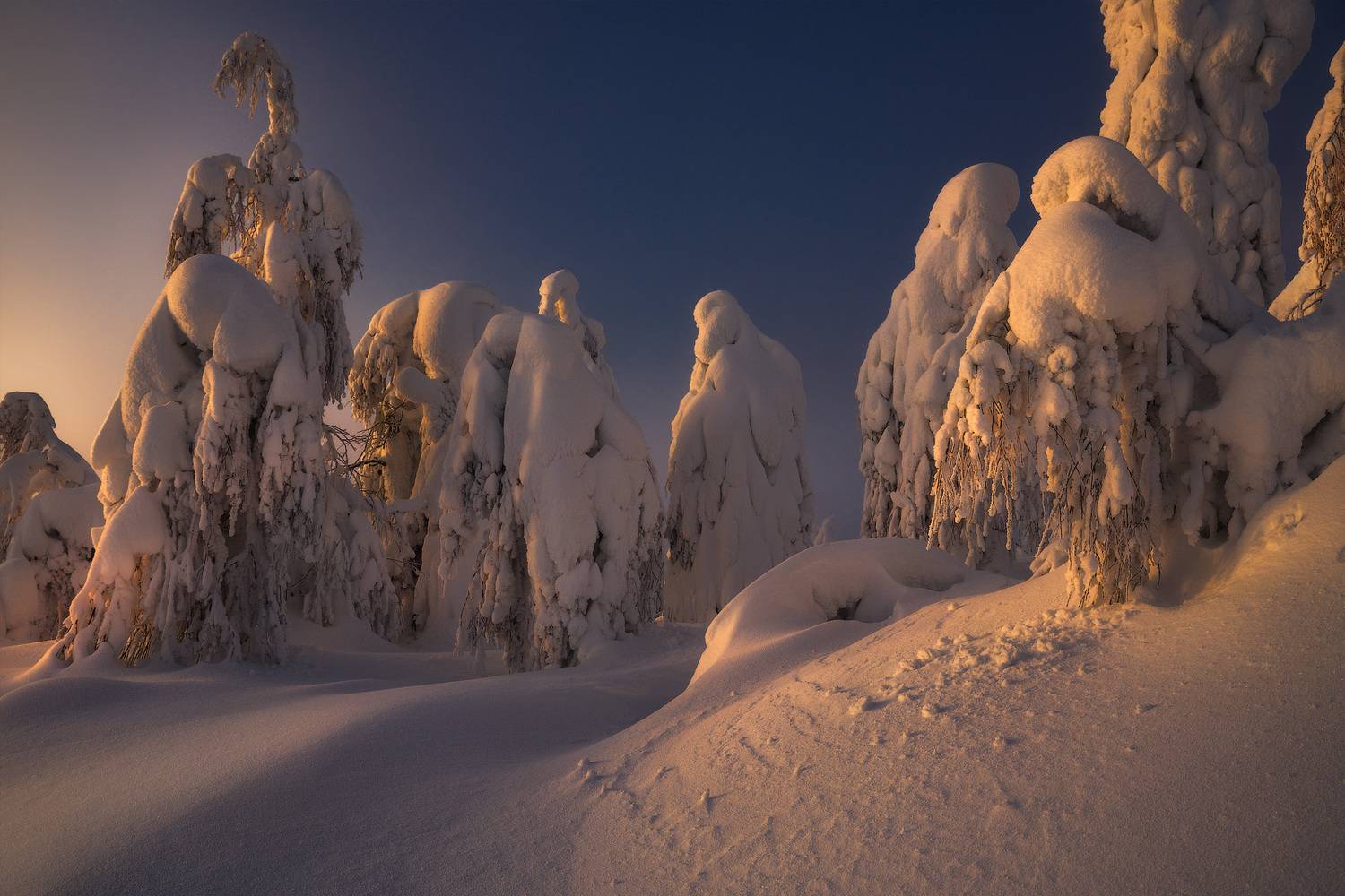 северныйурал, урал, полюд, пермскийкрай, Владимир Ляпин