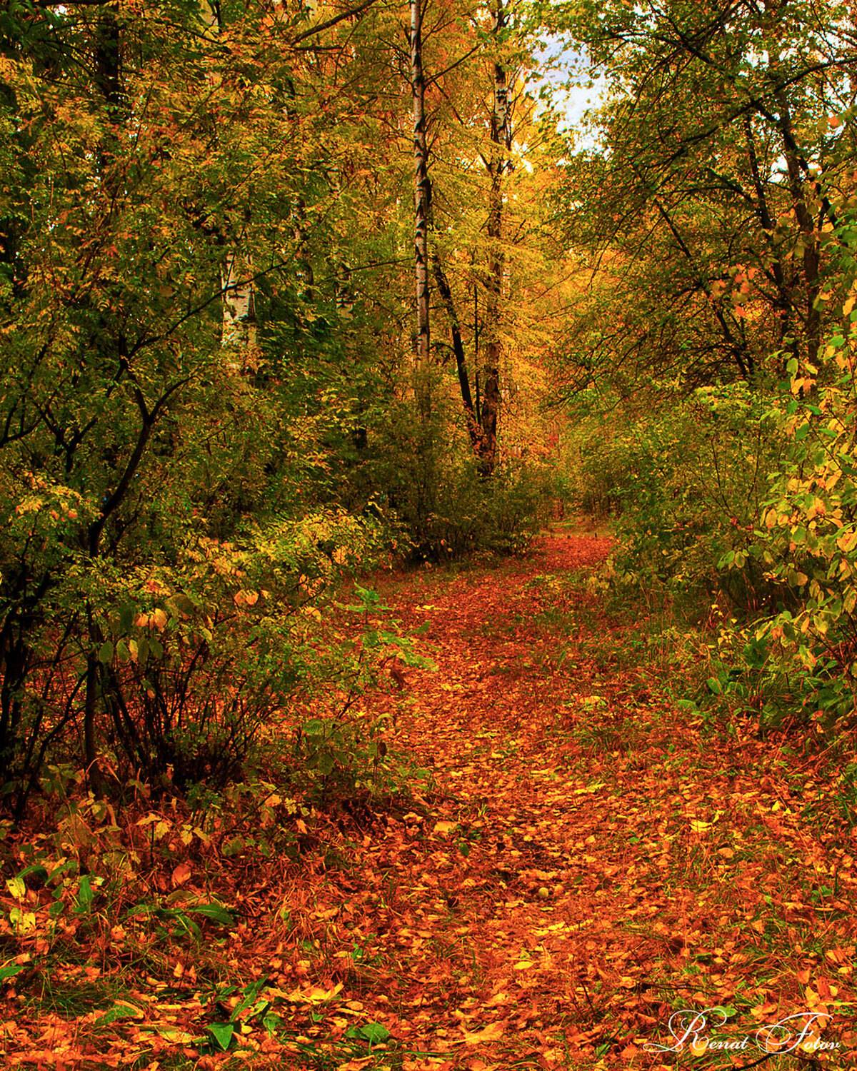 , Фотов Ренат