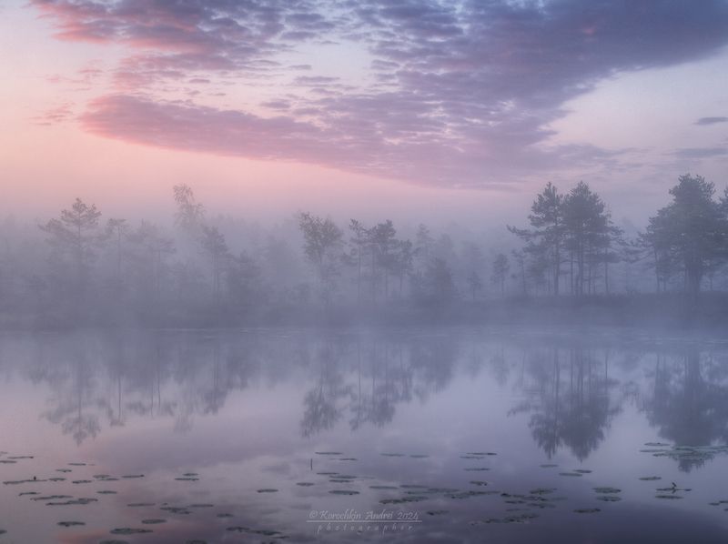 ... сиреневое утро ... фото превью