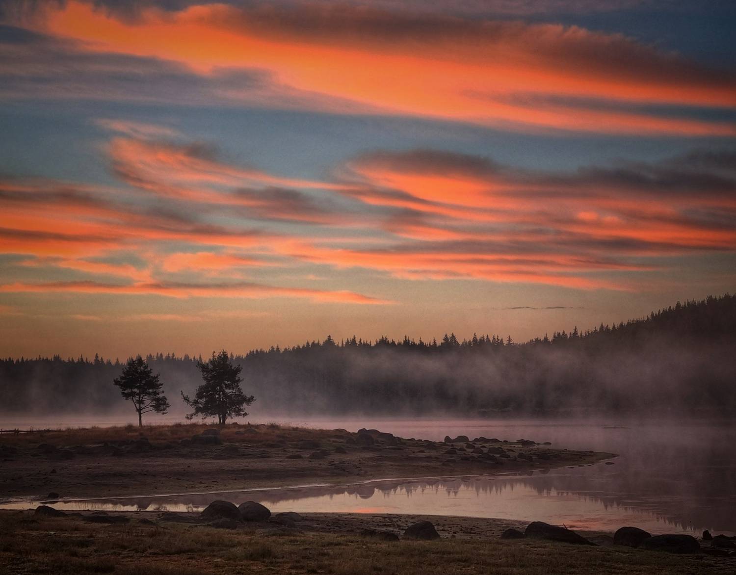 , Герчев Николай