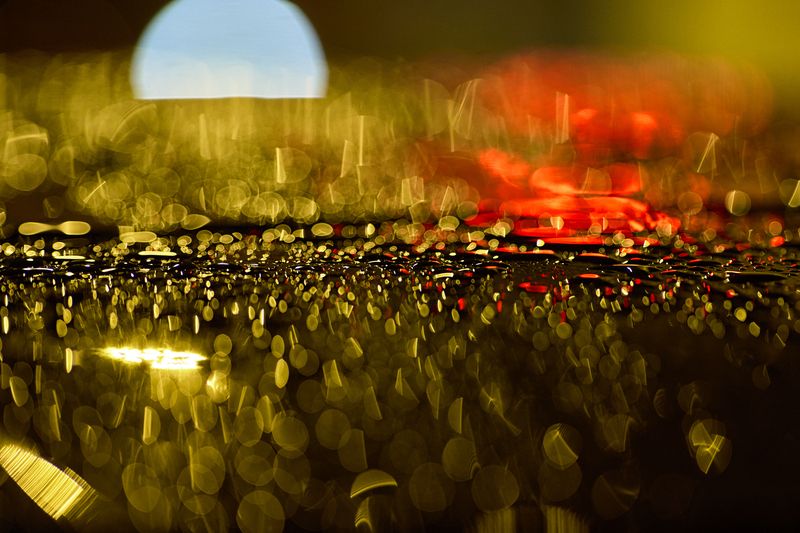 После дождя фото превью