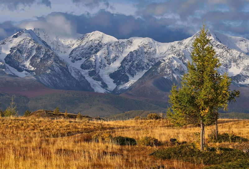 Северо-Чуйский хребет фото превью