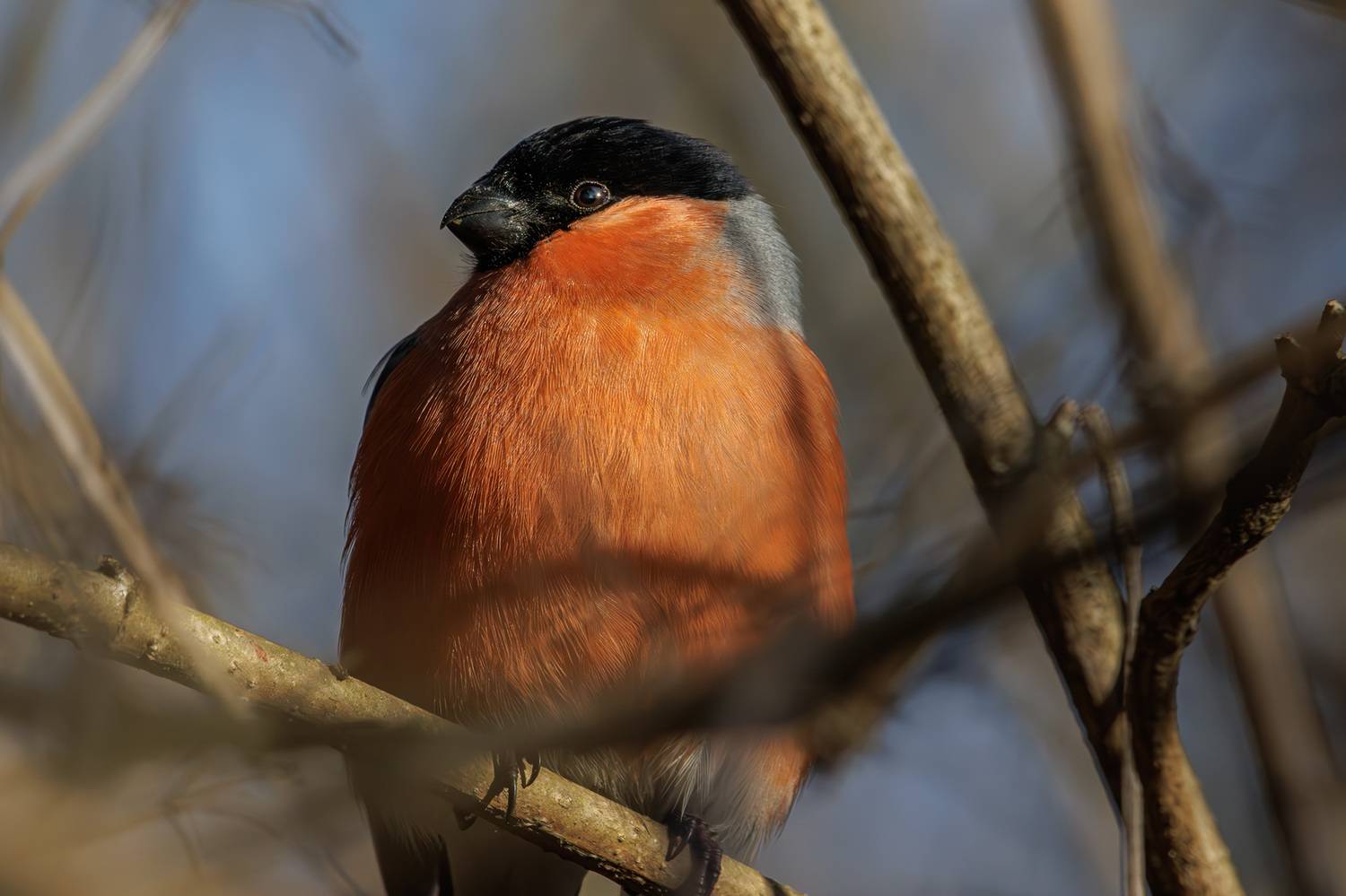 , Морозов Сергей