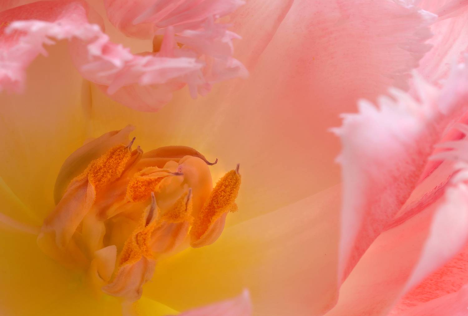 , Александр Зорин