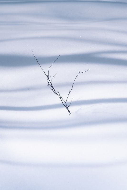 На Большой каменной реке фото превью