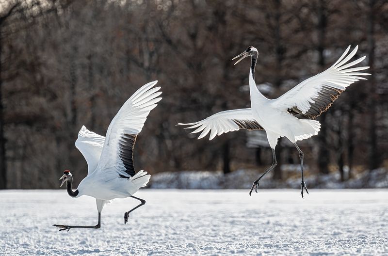 Do I run too fast? фото превью