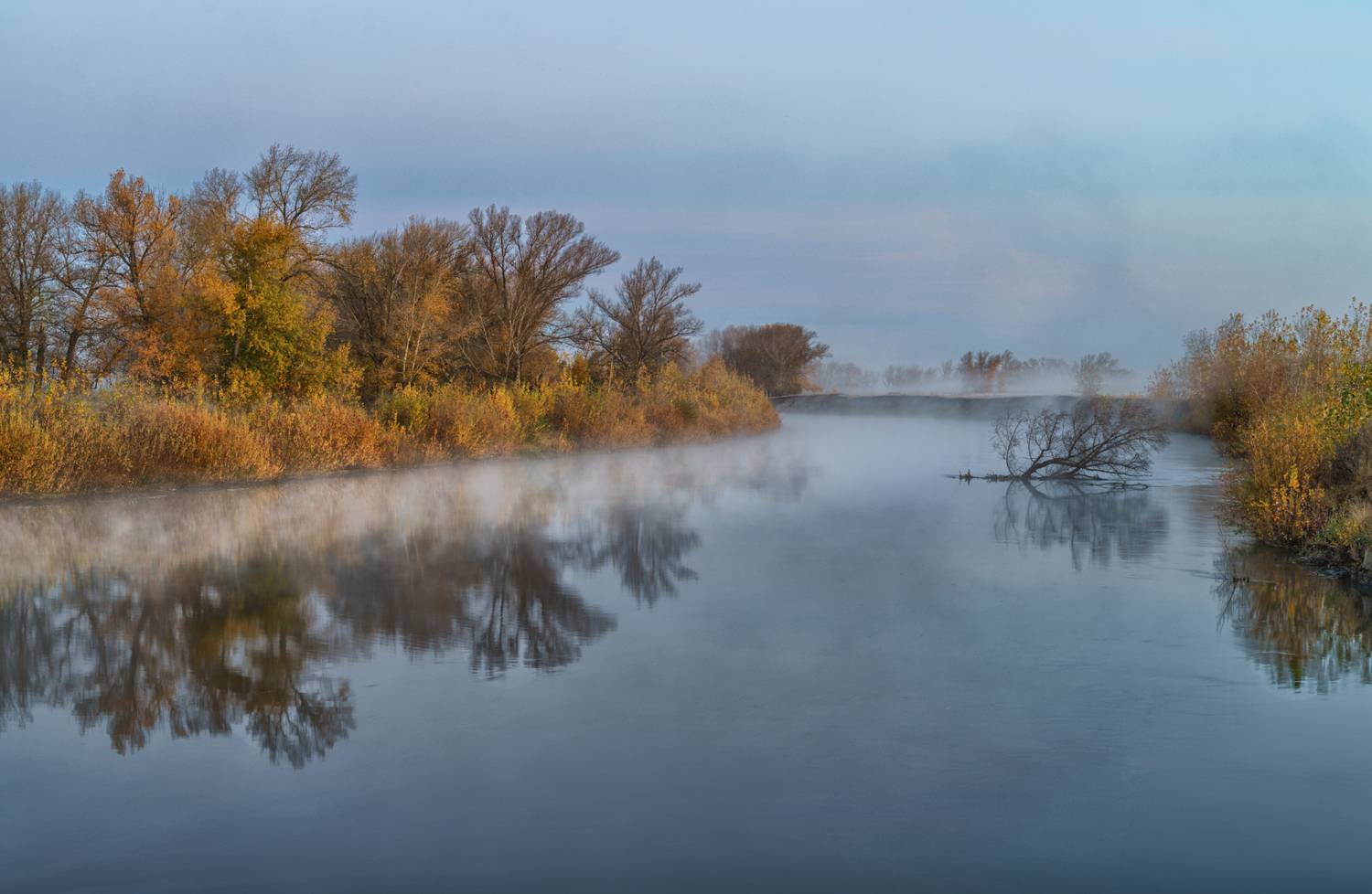 Россия,пейзаж,туман, утро, Тобол, река, осень, Лариса Дука