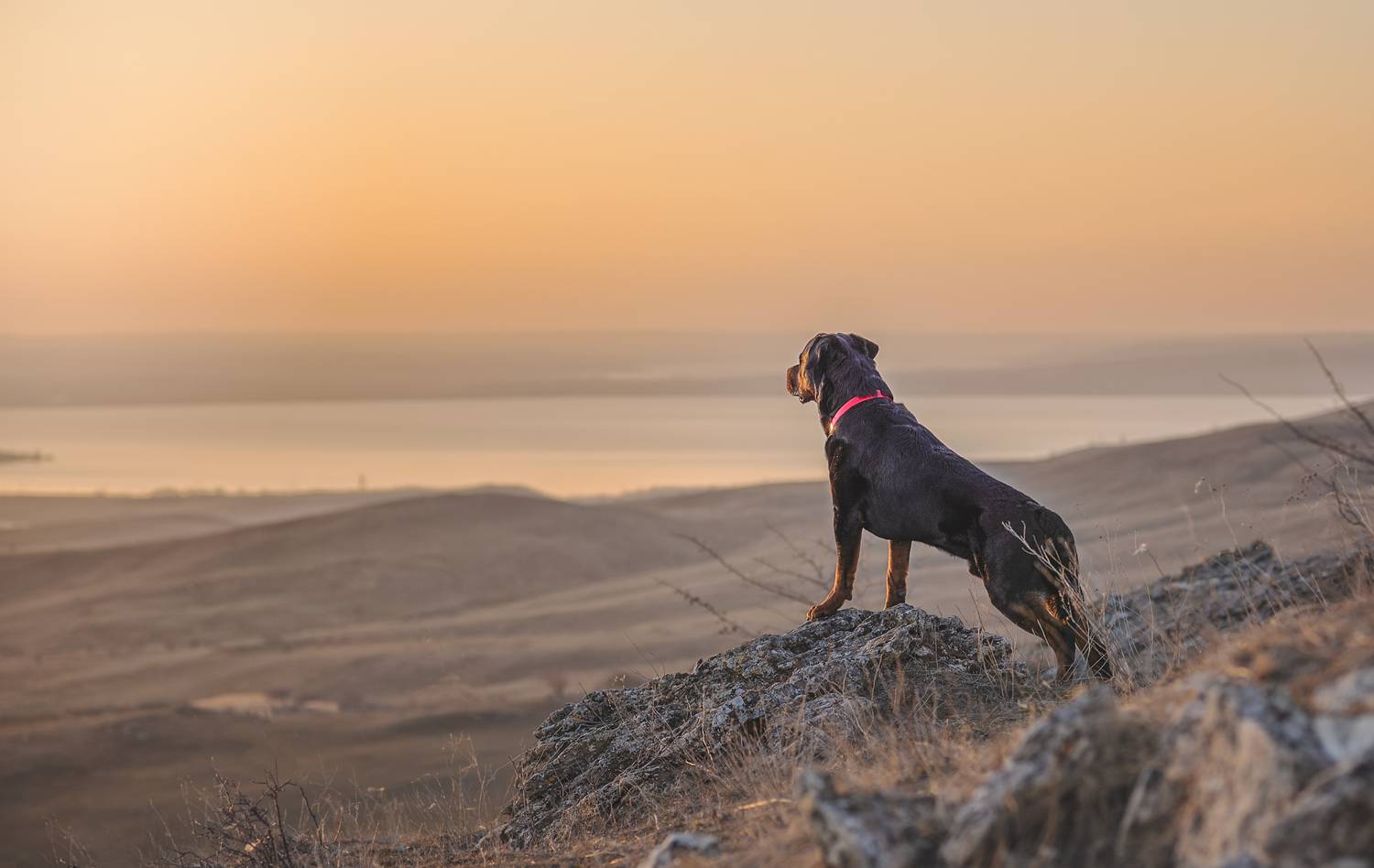 , Яна Кудлай