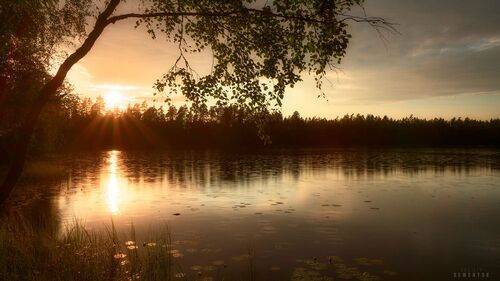 Солнечный дождь