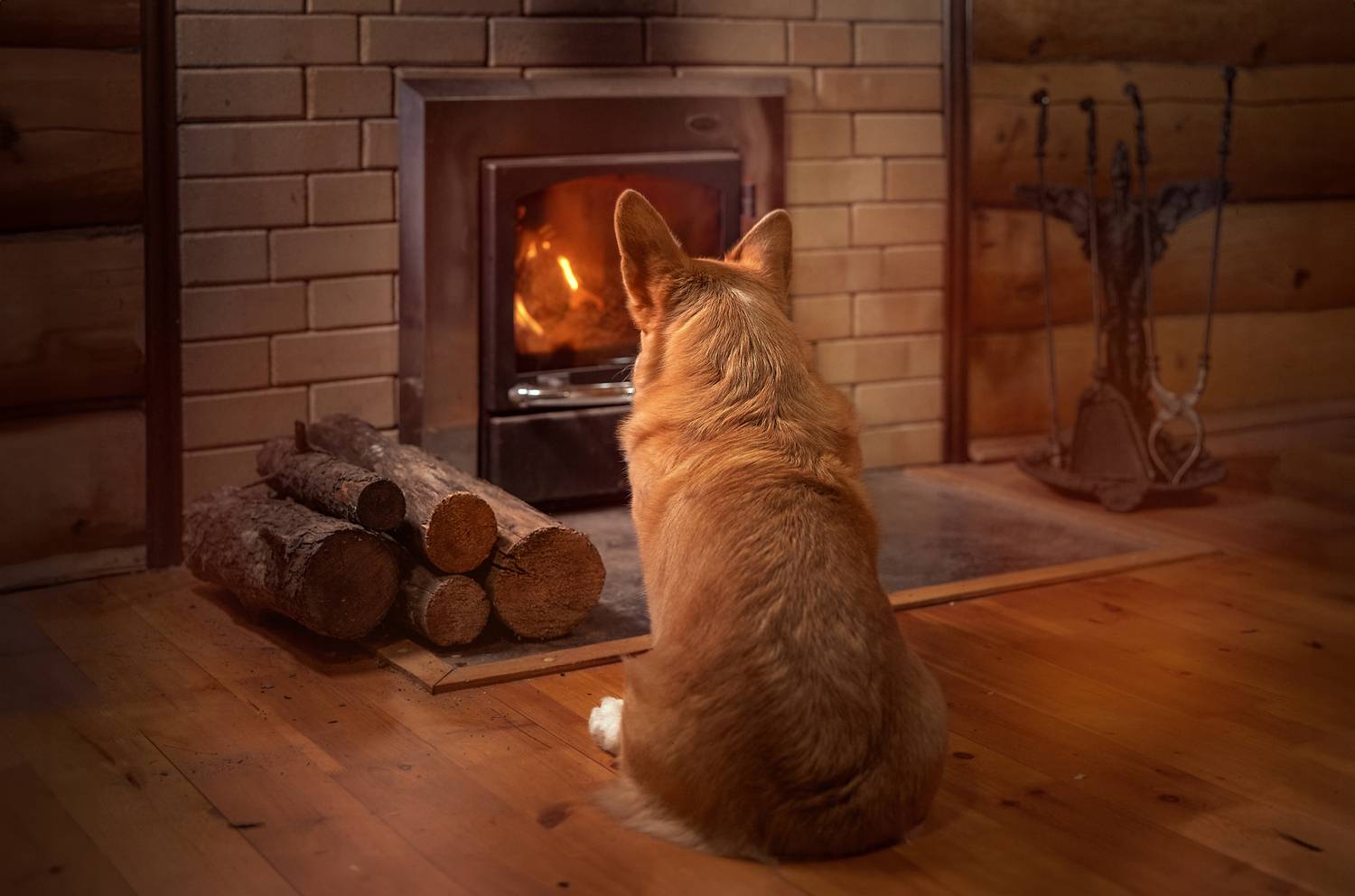 , Татьяна Тихомирова