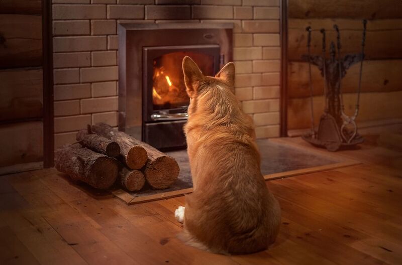 Одни дома фото превью