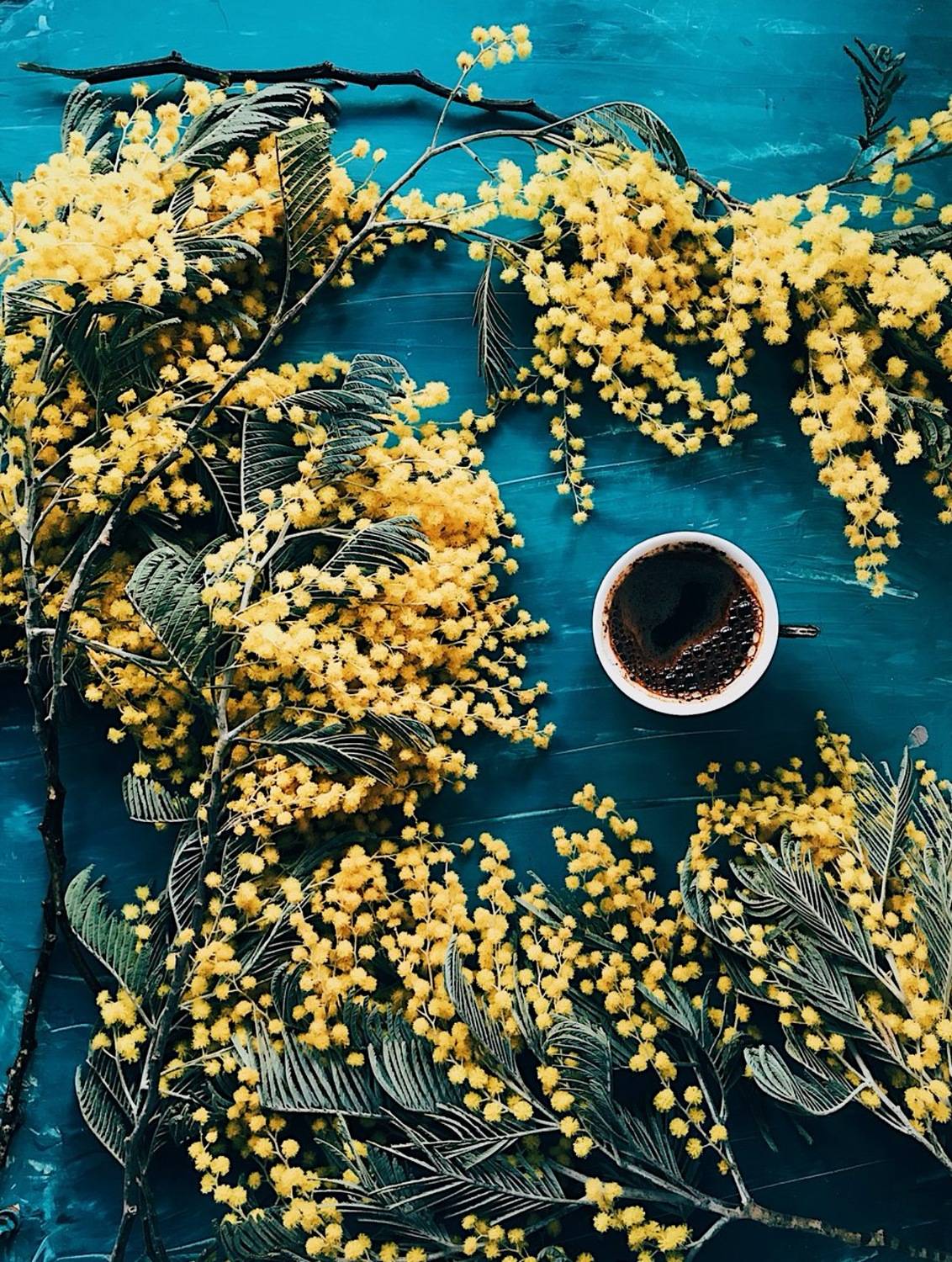 , Чепрасова Мария